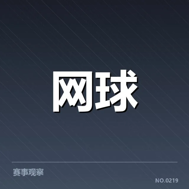 澳网伤病恢复:迪米伤愈后全情投入训练促复出 - NG28 H5